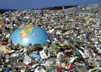 Resíduos sólidos urbanos no Brasil: desafios tecnológicos, políticos e econômicos