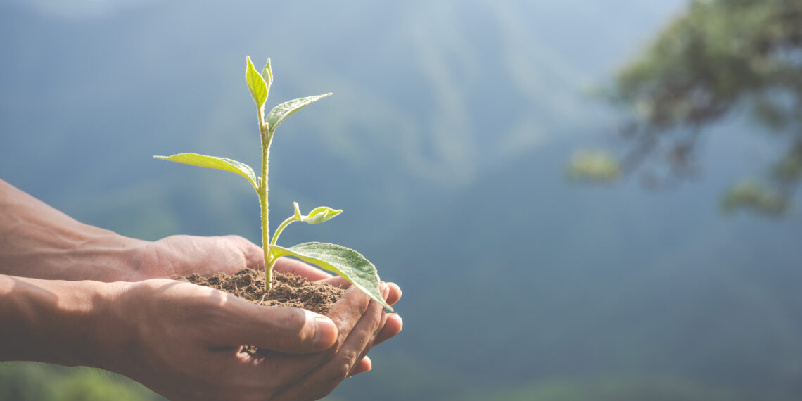 O debate do Licenciamento Ambiental no Brasil