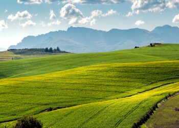 Falta de marco legal para licenciamento ambiental gera risco de guerra fiscal