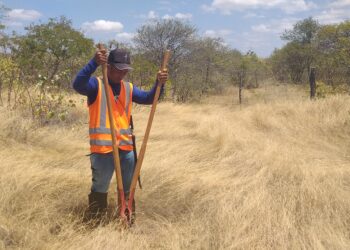 Dia do geólogo: profissional tem papel importante no planejamento das cidades