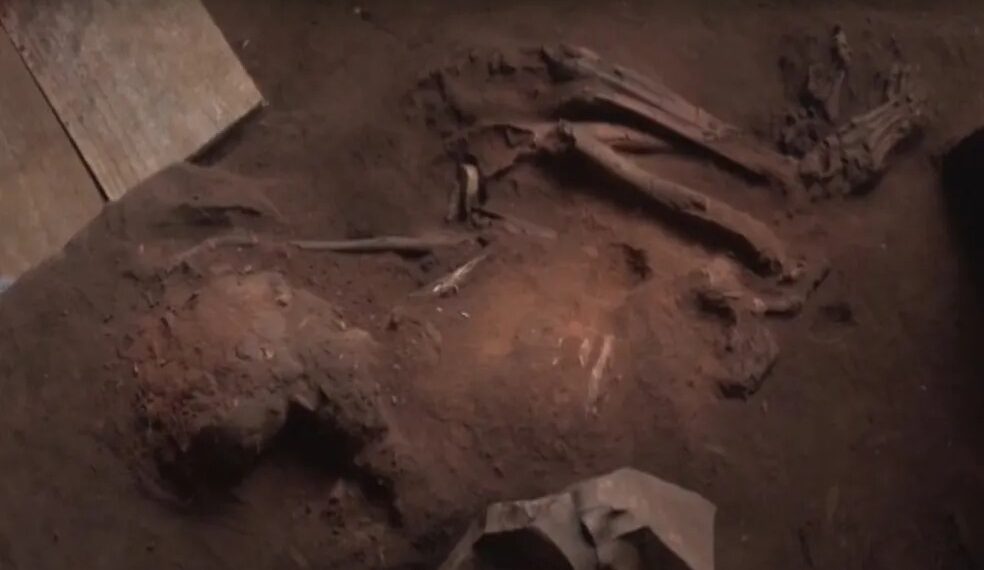 Fóssil de quase 12 mil anos é encontrado por pesquisadores em Serranópolis