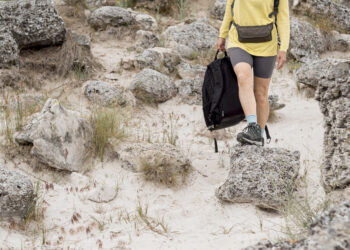 Niéde Guidon: A mulher que trouxe luz à arqueologia no País